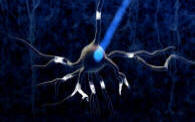 Optogenetics