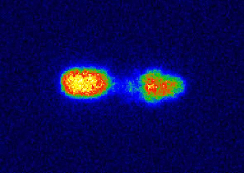 Plasma spectral analysis